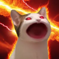 slicedfinger (@slicedfinger1) 's Twitter Profile