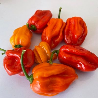 DesignByAya's profile picture. Internet of Things. Life Hacks. Frugal innovations. Food security. Sustainability. The Environment. Arts and craft. living life .