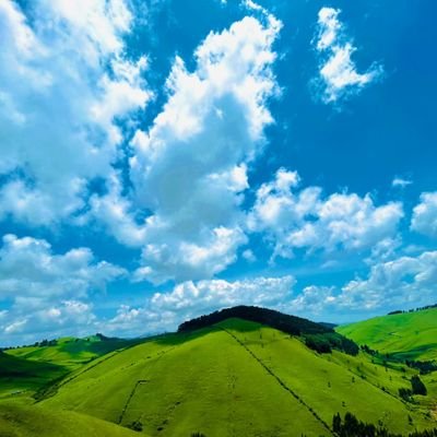 aminindayi's profile picture. 