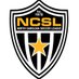 North Carolina Soccer League (@NCsoccerleague) Twitter profile photo