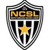 North Carolina Soccer League (@ncsoccerleague) Twitter profile photo