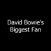 David Bowie's Biggest Fan (@Davidfan2343) Twitter profile photo