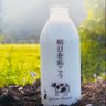 hiroba_moeru's profile picture. 🌈北海道の左上留萌市「道の駅るもい」にあるコミュニティF Mラジオ局「エフエムもえる」で毎週金曜日21時から全国にお送りする番組です 🌈北海道出身のシンガーソングライター半﨑美子さんの楽曲をリスナーからのメッセージとともにお届けします♬ mail: 769@moeru.co.jp fax:0164423856