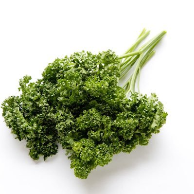 yuu40553's profile picture. 経営学科三年 名混テナー
団長になってしまった