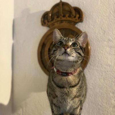 Deleorean's profile picture. tables, they turn sometimes