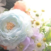 やさか (@yasakadoll_0301) 's Twitter Profile Photo やさか (@yasakadoll_0301) 's Twitter Profile Photo