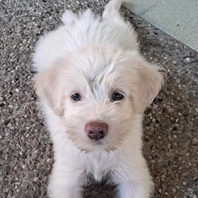 rcrdcmpio's profile picture. 