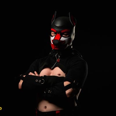 PupDaxter Profile
