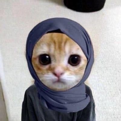 thisisrepaa's profile picture. 