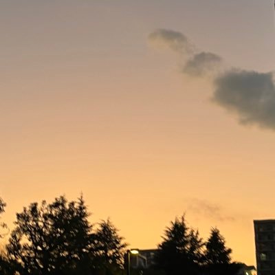 Riko91900's profile picture. 