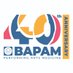 BAPAM: Performing Arts Medicine (@ukbapam) Twitter profile photo