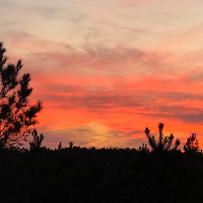 KristyE87030847's profile picture. Love our God, Country & family! ❤️🇺🇸❤️