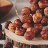 Talha Dalkı (@talhadalki81038) Twitter profile photo