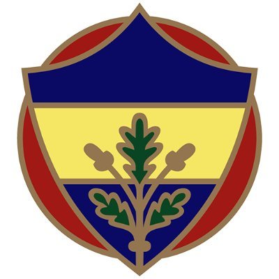 Official Fenerbahçe fan Account. Bringing you the latest updates, news, and passion from the Yellow Canaries! 💛💙 #Fenerbahçe