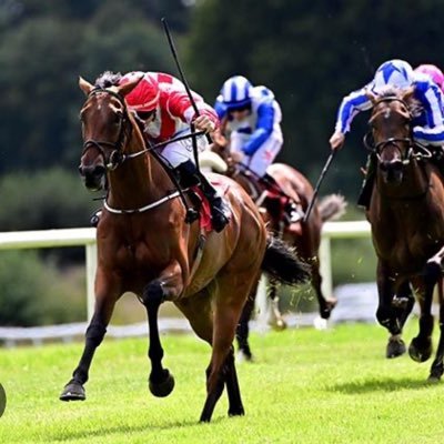 The South Easts Premier Race Track. Home to the Goffs Thyestes Chase and The Irish EBF Gowran Classic & 18 hole Championship Golf Course