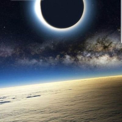 lalee247's profile picture. 