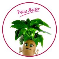 Miss Better(@_MissBetter) 's Twitter Profile Photo