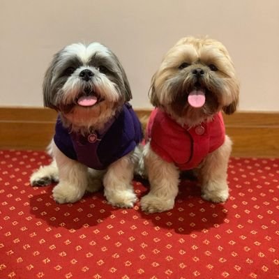 david1hughes's profile picture. 