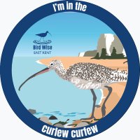 Bird Wise East Kent (@birdwiseek) 's Twitter Profile