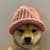 Airdropperwhifhat (@airdroperwifhat) Twitter profile photo Airdropperwhifhat (@airdroperwifhat) Twitter profile photo
