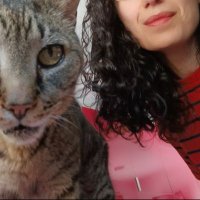 Teresa - I need ammunition, not a ride!🎗️ (@teresa_gcp) 's Twitter Profile Photo Teresa - I need ammunition, not a ride!🎗️ (@teresa_gcp) 's Twitter Profile Photo