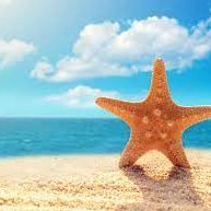 alialina1481144's profile picture. Have fun