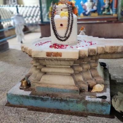 rajusreenu's profile picture. 