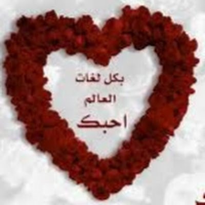 al_tarq21250's profile picture. 