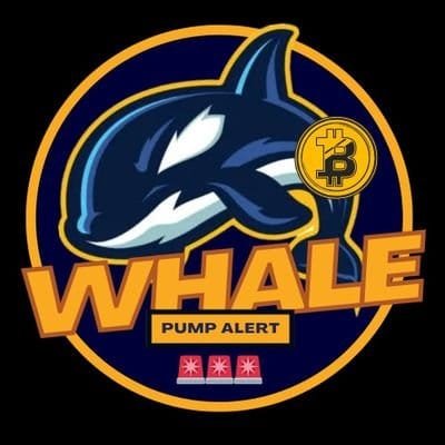 whalepumpalerts Profile Picture