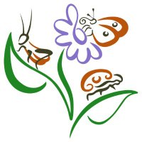 Interacciones Insecto-Planta IMBIV (@insecto_planta) 's Twitter Profile Photo Interacciones Insecto-Planta IMBIV (@insecto_planta) 's Twitter Profile Photo