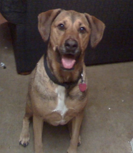ridgedog705 Profile Picture