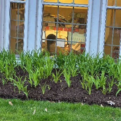 E_R_Kerkhof's profile picture. PhD Candidate in NewTestament, @Asburyseminary, overly concerned about the Kingdom Parables and how they tell the whole story