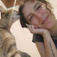 Mercedes García Carrillo (@mgarciacarrillo) 's Twitter Profile