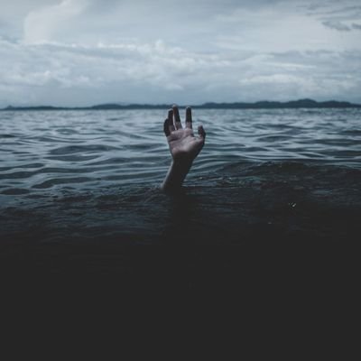 RaduAsaftei's profile picture. 