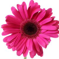 Em-80 (@ekramer7331) 's Twitter Profile