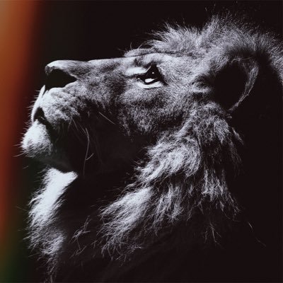 paolaL99's profile picture. Sobreviviendo. 👩‍⚖️