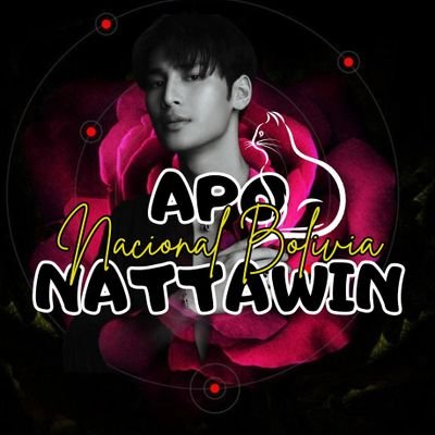 Bolivian National FC created in Support of APO NATTAWIN //@Nnattawin1