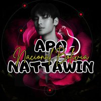 Apo Nattawin Nacional FC 🇧🇴(@ApoNattawinNal) 's Twitter Profileg