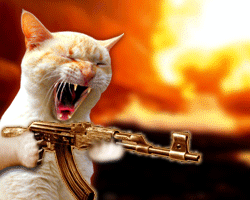 I'm funnier than you are. Deal with it.