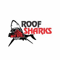 Roof Sharks(@SharksRoof) 's Twitter Profile Photo