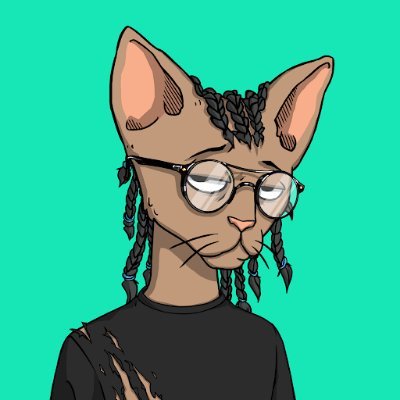 Yokadacrypto Profile Picture