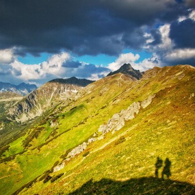 778Micha's profile picture. 