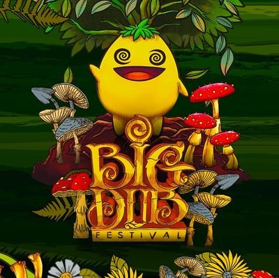 Big Dub is an annual music festival at Four Quarters Farm in Artemas, PA featuring international headliners, workshops, seminars, and other activities.