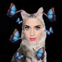 gina fenty 🦋 (@rihftperry) 's Twitter Profile Photo gina fenty 🦋 (@rihftperry) 's Twitter Profile Photo