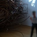 leslie putnam - @lesputnam1 - Twitter