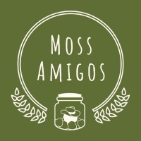 Moss Amigos(@mossamigos) 's Twitter Profile Photo