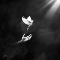 𝒜𝓎𝒶𝓉 (@ayatelrawy) 's Twitter Profile Photo