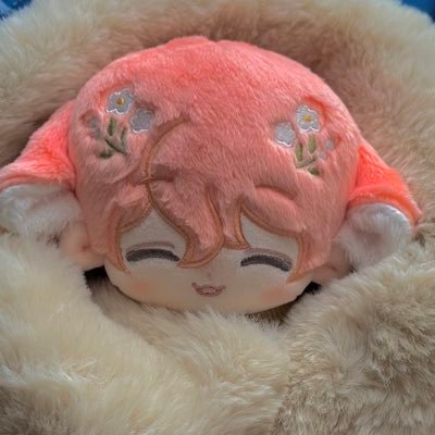 ぬい活！無言いいね多めです。。