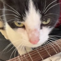 𝔢𝔪 (@emakachan) 's Twitter Profile Photo