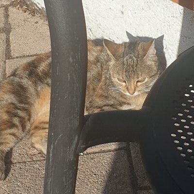 ProcessorNeuron's profile picture. Acting/Penseur/ Compositeur /Designer/Cinéma /Textiles, Architectures ,Les Technologies et l'Espace. Contributeur a l'amélioration de L'IA et du Futur.